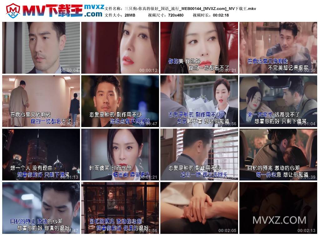 三只狗-你真的很好_国语_流行_MEB00144